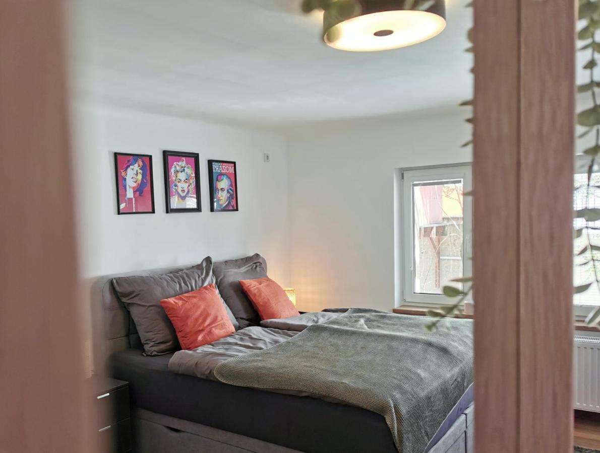 Neues City Center Piano Appartement Mit Netflix Klagenfurt am Woerthersee Eksteriør billede